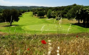 10 actions pour un golf plus écoresponsable - Open Golf Club