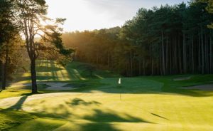 Reprise du golf en début d’année : bienfaits, préparation et conseils pour une saison réussie - Open Golf Club