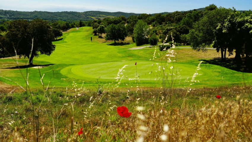 coquelicot-rough-écologie-golf-roquebrune-resonance-golf-collection