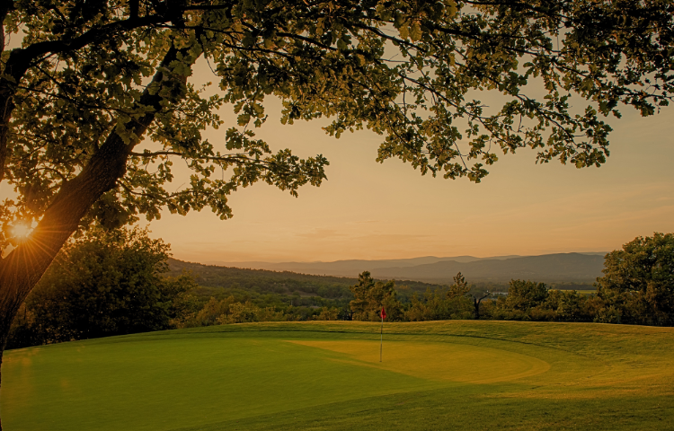Maintenir des greens performants exige une gestion culturale précise - Open Golf Club