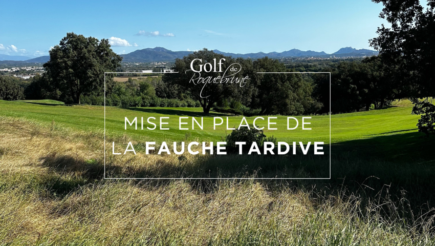Mise en place de la fauche tardive - Open Golf Club
