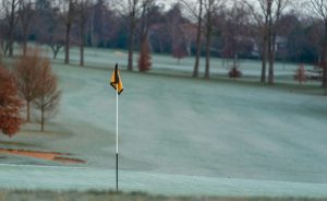 Greens gelés : un petit geste pour un grand impact - Open Golf Club