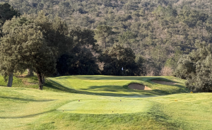 Sursemis des départs : renforcer le parcours pour un jeu durable - Open Golf Club